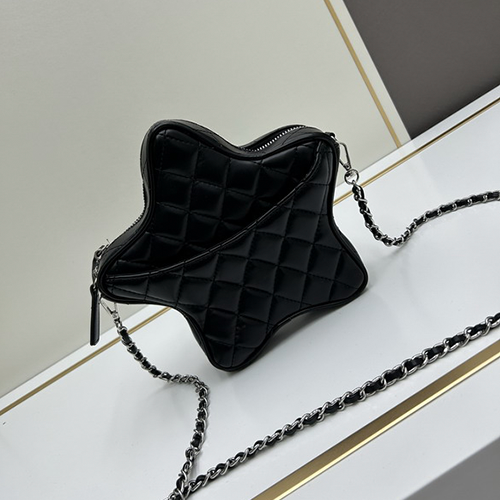 CHANEL Cruise Star Bag